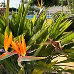 Santa Clara Views شقة توريمولينوس