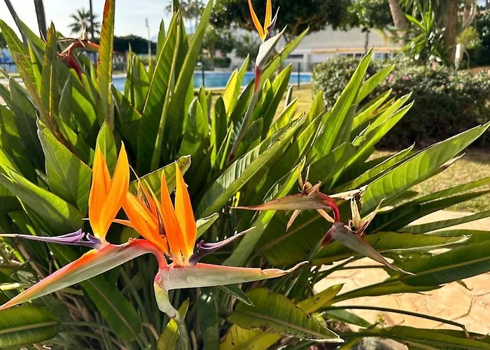 Santa Clara Views Appartamento Torremolinos